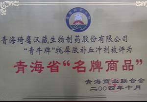&#66;&#71;&#22823;&#28216;&#40;&#20013;&#22269;&#41;&#21807;&#19968;&#23448;&#26041;&#32593;&#31449;